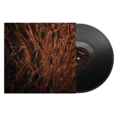 REFLEX LP