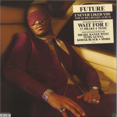 I NEVER LIKED YOU LP 2x12"