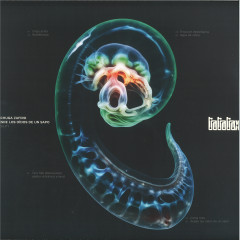 Desde los oídos de un sapo LP