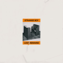 Love Remains LP