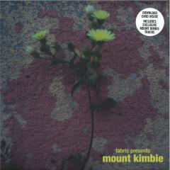 fabric presents Mount Kimbie (2x12")