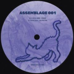 “Assemblage V.A. 001” EP
