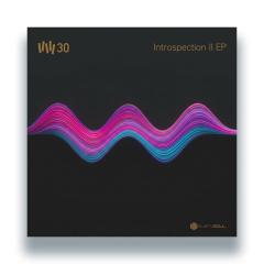 Introspection II EP