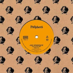 Jah Vengeance Dub Plate Mix