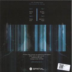 Variations On Being LP 2x12"