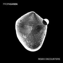 REMIX ENCOUNTERS LP 2x12"