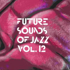 Vol. 12 LP 3x12"
