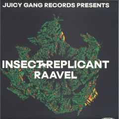 INSECT REPLICANT