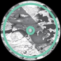 Evolución Ácida "Mini LP"