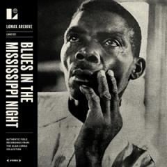 BLUES IN THE MISSISSIPPI NIGHT