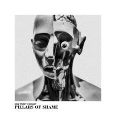 pillards of shame