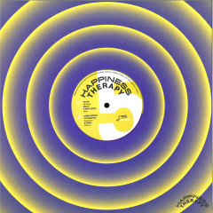 5 Years Of Happiness 2x12"