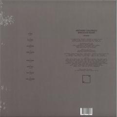 SPACIOUS HEART LP 2x12"