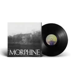 Cocoon lp