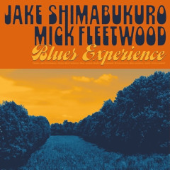 Blues Experience LP