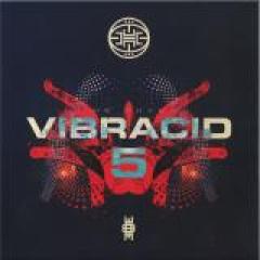 VIBRACID 5 - THE RHYME EP