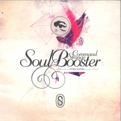 Soul Booster 2x12"