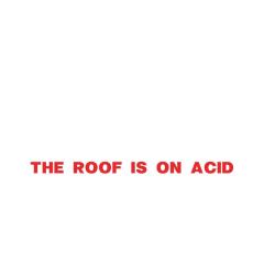 The Roof Is On Acid