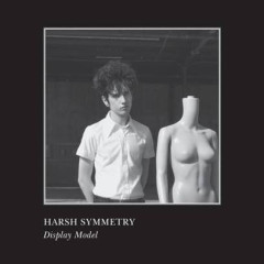 Display Model LP