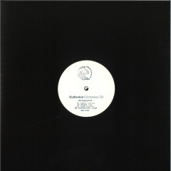 Emerging V/A 2x12"