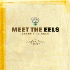 Meet The EELS LP 2x12"