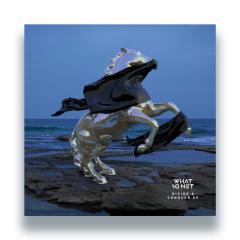 Divide & Conquer EP