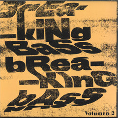 Breaking Bass LP 02
