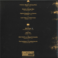 Breaking Bass LP 02