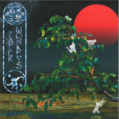 Paper Monkeys LP 2x12"