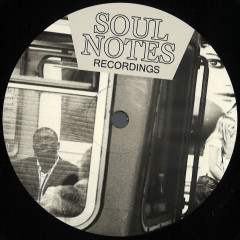 Many Shades Of Soul Notes Vol. 1