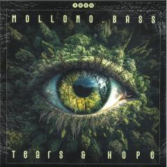 Tears & Hope LP 2x12"