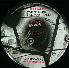 Can T Hide The Way I Feel / Broke