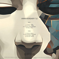 Steyoyoke Anniversary, Vol. 12 2x12"