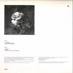 Ana Roxanne ' - Because Of A Flower / Kranky Records KRANK230LP