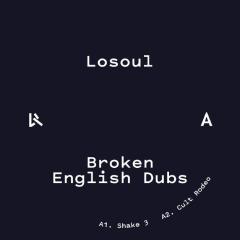 Broken English Dubs LP 2x12"