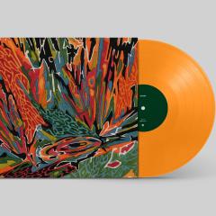 Terra Incognita LP
