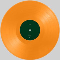 Terra Incognita LP