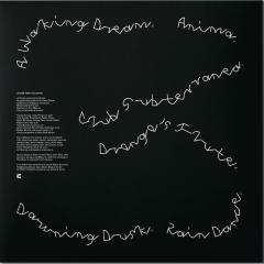 Terra Incognita LP