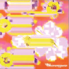 Dreamscape Coma