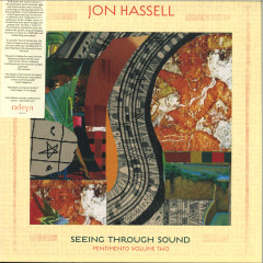 Seeing Through Sound