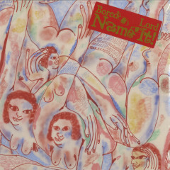 Name It LP 2x12"