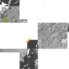 Shapeless LP 2x12"