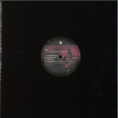 Holographic Principle Volume 2