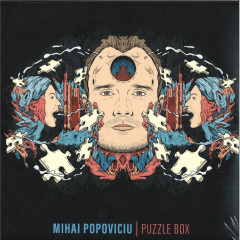 Puzzle Box LP 3x12"