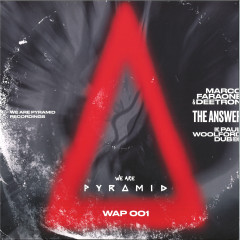 The Answer LP