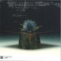 Curation Two: D.Dan