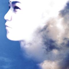 We Are Everyone [LP)