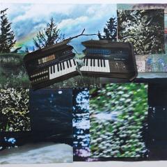 I SPLIT MY ORGAN IN TWOS LP 2x12"