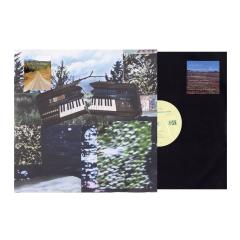 I SPLIT MY ORGAN IN TWOS LP 2x12"