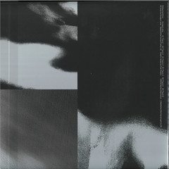 Disfiguring Echos